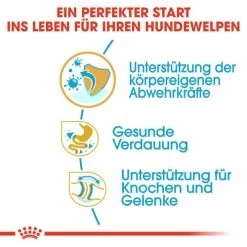 Royal Canin Bulldog Puppy - Hundefutter -Haustierprodukte royal canin bulldog puppy hondenvoer 137803 0500 none