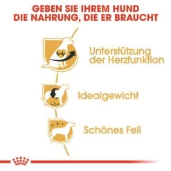 Royal Canin Cavalier King Charles Adult - Hundefutter -Haustierprodukte royal canin cavalier king charles adult hondenvoer 137869 0500 none