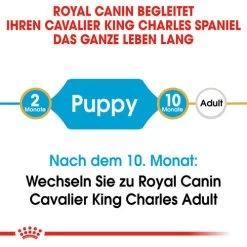 Royal Canin Cavalier King Charles Puppy - Hundefutter -Haustierprodukte royal canin cavalier king charles puppy hondenvoer 137905 0500 none