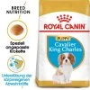 Royal Canin Cavalier King Charles Puppy - Hundefutter -Haustierprodukte royal canin cavalier king charles puppy hondenvoer 142808 0500 none
