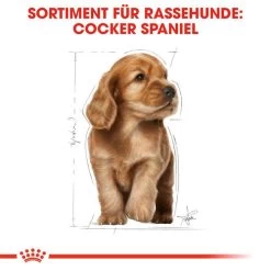Royal Canin Cocker Puppy - Hundefutter -Haustierprodukte royal canin cocker puppy hondenvoer 138226 0500 none
