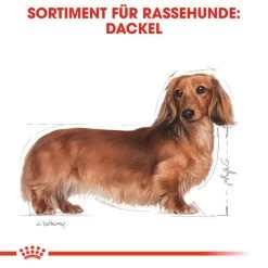 Royal Canin Dachshund Adult Wet - Hundefutter -Haustierprodukte royal canin dachshund adult wet hondenvoer 138379 0500 none