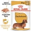 Royal Canin Dachshund Adult Wet - Hundefutter -Haustierprodukte royal canin dachshund adult wet hondenvoer 138433 0500 none