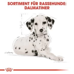 Royal Canin Dalmatian Puppy - Hundefutter -Haustierprodukte royal canin dalmatian puppy hondenvoer 138589 0500 none