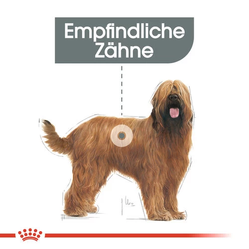 Royal Canin Maxi Dental Care - Hundefutter 5 Royal Canin Maxi Dental Care - Hundefutter – Bild 3
