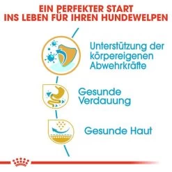 Royal Canin French Bulldog Puppy - Hundefutter 11 Royal Canin French Bulldog Puppy - Hundefutter -Haustierprodukte royal canin french bulldog puppy hondenvoer 138709 0500 none