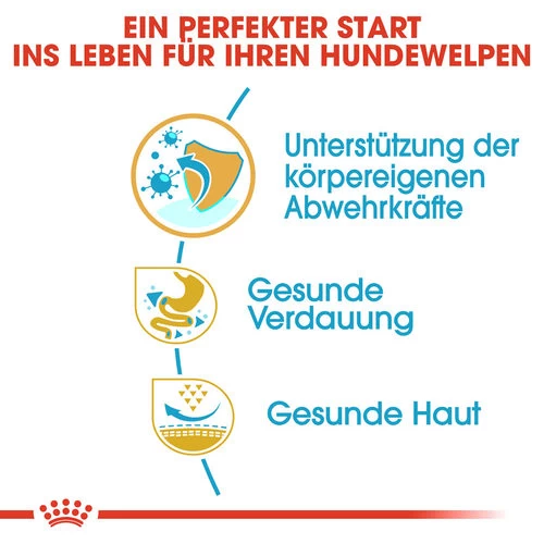 Royal Canin French Bulldog Puppy - Hundefutter 4 Royal Canin French Bulldog Puppy - Hundefutter – Bild 2