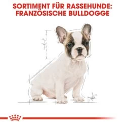 Royal Canin French Bulldog Puppy - Hundefutter 13 Royal Canin French Bulldog Puppy - Hundefutter -Haustierprodukte royal canin french bulldog puppy hondenvoer 138718 0500 none