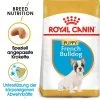 Royal Canin French Bulldog Puppy - Hundefutter