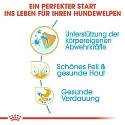 Royal Canin Golden Retriever Puppy - Hundefutter -Haustierprodukte royal canin golden retriever puppy hondenvoer 138949 0500 none