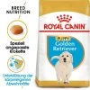 Royal Canin Golden Retriever Puppy - Hundefutter -Haustierprodukte royal canin golden retriever puppy hondenvoer 140579 0500 none