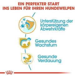 Royal Canin Jack Russell Terrier Puppy - Hundefutter -Haustierprodukte royal canin jack russell terrier puppy hondenvoer 139309 0500 none