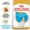 Royal Canin Jack Russell Terrier Puppy - Hundefutter -Haustierprodukte royal canin jack russell terrier puppy hondenvoer 140597 0500 none
