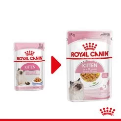 Royal Canin Kitten In Jelly - Katzenfutter 7 Royal Canin Kitten In Jelly - Katzenfutter -Haustierprodukte royal canin kitten in jelly kattenvoer 207116 0500 none