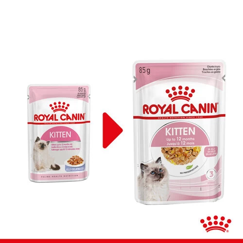 Royal Canin Kitten In Jelly - Katzenfutter 5 Royal Canin Kitten In Jelly - Katzenfutter – Bild 3