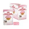 Royal Canin Kitten In Jelly - Katzenfutter -Haustierprodukte royal canin kitten in jelly kattenvoer 207143 0500 none
