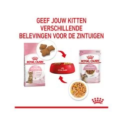 Royal Canin Kitten Sterilised Gelee - Beutel -Haustierprodukte royal canin kitten sterilised in jelly maaltijdzakje 207212 0500 none