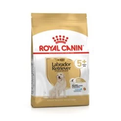 Royal Canin Labrador Retriever Adult 5+ -Haustierprodukte royal canin labrador retriever adult 5 161518 0500 none