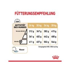 Royal Canin Labrador Retriever Adult 5+ -Haustierprodukte royal canin labrador retriever adult 5 165172 0500 none