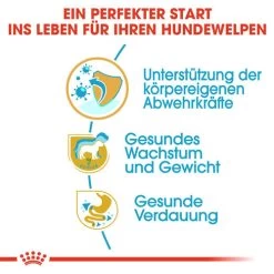 Royal Canin Labrador Retriever Puppy - Hundefutter -Haustierprodukte royal canin labrador retriever puppy hondenvoer 139429 0500 none