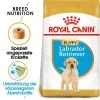 Royal Canin Labrador Retriever Puppy - Hundefutter -Haustierprodukte royal canin labrador retriever puppy hondenvoer 140618 0500 none