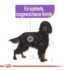 Royal Canin Maxi Sterilised - Hundefutter -Haustierprodukte royal canin maxi sterilised hondenvoer 132662 0500 none