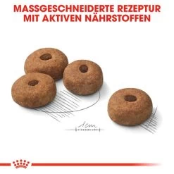 Royal Canin Maxi Sterilised - Hundefutter -Haustierprodukte royal canin maxi sterilised hondenvoer 132680 0500 none