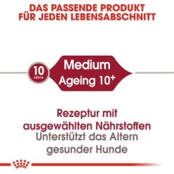 Royal Canin Medium Ageing 10+ - Hundefutter -Haustierprodukte royal canin medium ageing 10 hondenvoer 128810 0500 none