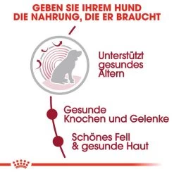 Royal Canin Medium Ageing 10+ - Hundefutter -Haustierprodukte royal canin medium ageing 10 hondenvoer 128816 0500 none