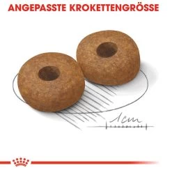 Royal Canin Medium Ageing 10+ - Hundefutter -Haustierprodukte royal canin medium ageing 10 hondenvoer 128822 0500 none