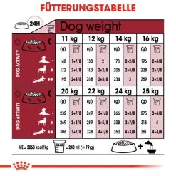 Royal Canin Medium Ageing 10+ - Hundefutter -Haustierprodukte royal canin medium ageing 10 hondenvoer 128831 0500 none