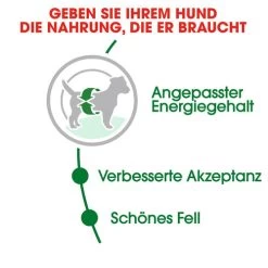 Royal Canin Mini Adult - Hundefutter 12 Royal Canin Mini Adult - Hundefutter -Haustierprodukte royal canin mini adult hondenvoer 128648 0500 none