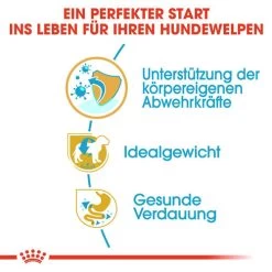 Royal Canin Mini Schnauzer Puppy - Hundefutter -Haustierprodukte royal canin mini schnauzer puppy hondenvoer 140173 0500 none