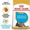 Royal Canin Mini Schnauzer Puppy - Hundefutter -Haustierprodukte royal canin mini schnauzer puppy hondenvoer 140197 0500 none
