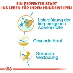 Royal Canin Pug Puppy - Hundefutter -Haustierprodukte royal canin pug puppy hondenvoer 139876 0500 none