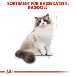 Royal Canin Ragdoll Adult - Katzenfutter 12 Royal Canin Ragdoll Adult - Katzenfutter -Haustierprodukte royal canin ragdoll adult kattenvoer 125087 0500 none