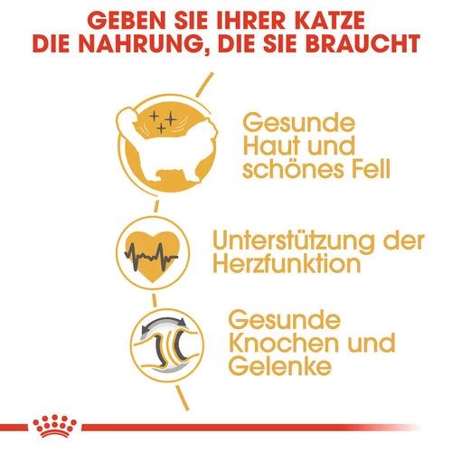 Royal Canin Ragdoll Adult - Katzenfutter 4 Royal Canin Ragdoll Adult - Katzenfutter – Bild 2