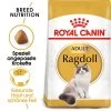 Royal Canin Ragdoll Adult - Katzenfutter -Haustierprodukte royal canin ragdoll adult kattenvoer 125138 0500 none