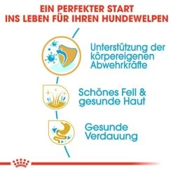 Royal Canin Shih Tzu Puppy - Hundefutter -Haustierprodukte royal canin shih tzu junior hondenvoer 140402 0500 none