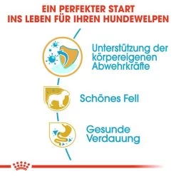 Royal Canin Yorkshire Terrier Puppy - Hundefutter -Haustierprodukte royal canin yorkshire terrier puppy hondenvoer 140795 0500 none