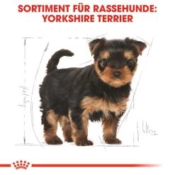 Royal Canin Yorkshire Terrier Puppy - Hundefutter -Haustierprodukte royal canin yorkshire terrier puppy hondenvoer 140804 0500 none