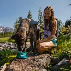 Ruffwear Flat Out Dog Collar - Alpenglow Burst -Haustierprodukte ruffwear flat out dog collar alpenglow burst 204812 0500 none