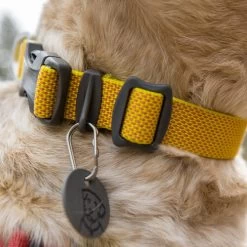 Ruffwear Hi & Light Halsband -Haustierprodukte ruffwear hi light collar 194258 0500 none