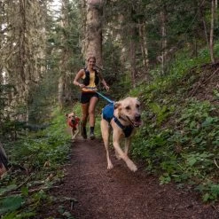 Ruffwear Roamer Leash - Blue Atoll -Haustierprodukte ruffwear roamer leash blue atoll 204797 0500 none