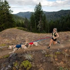 Ruffwear Roamer Leash - Blue Atoll -Haustierprodukte ruffwear roamer leash blue atoll 204800 0500 none