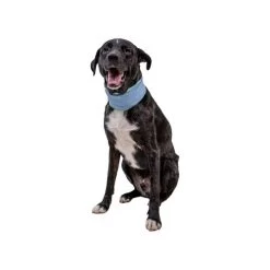 Ruffwear Swamp Cooler Neck Gaiter -Haustierprodukte ruffwear swamp cooler neck gaiter 196808 0500 none