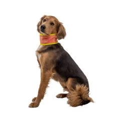 Ruffwear Swamp Cooler Neck Gaiter -Haustierprodukte ruffwear swamp cooler neck gaiter 196817 0500 none