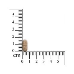 Sensipharm Inconti Stop Hund -Haustierprodukte sensipharm inconti stop hond 174532 0500 none