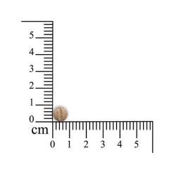 Sensipharm Sneeze Aid Katze -Haustierprodukte sensipharm sneeze aid kat 174685 0500 none