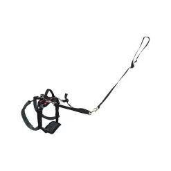 PetSafe Carelift - Tragesystem / Tragegeschirr Für Hunde -Haustierprodukte solvit carelift draagsysteem voor de hond 163708 0500 none